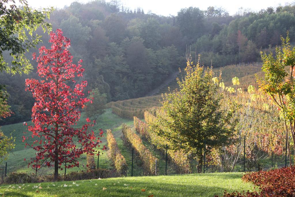 B&B Bricco Fiore Briaglia Exterior photo